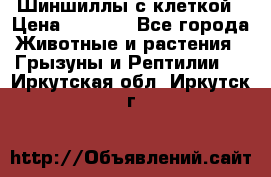 Шиншиллы с клеткой › Цена ­ 8 000 - Все города Животные и растения » Грызуны и Рептилии   . Иркутская обл.,Иркутск г.